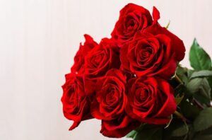 -Red Rose Happy Rose Day